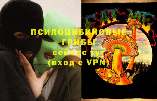 марки nbome Каменногорск
