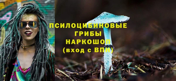Альфа ПВП Каменск-Шахтинский