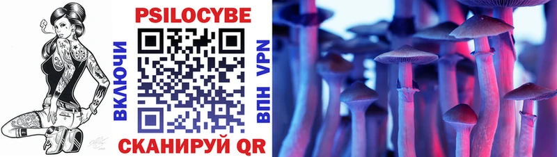Купить  Дагестанские Огни  Галлюциногенные грибы Psilocybe 